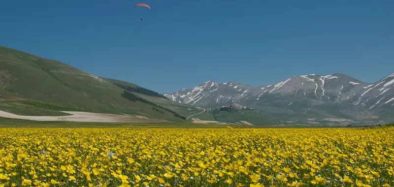 Umbria: Spring in Castelluccio di Norcia