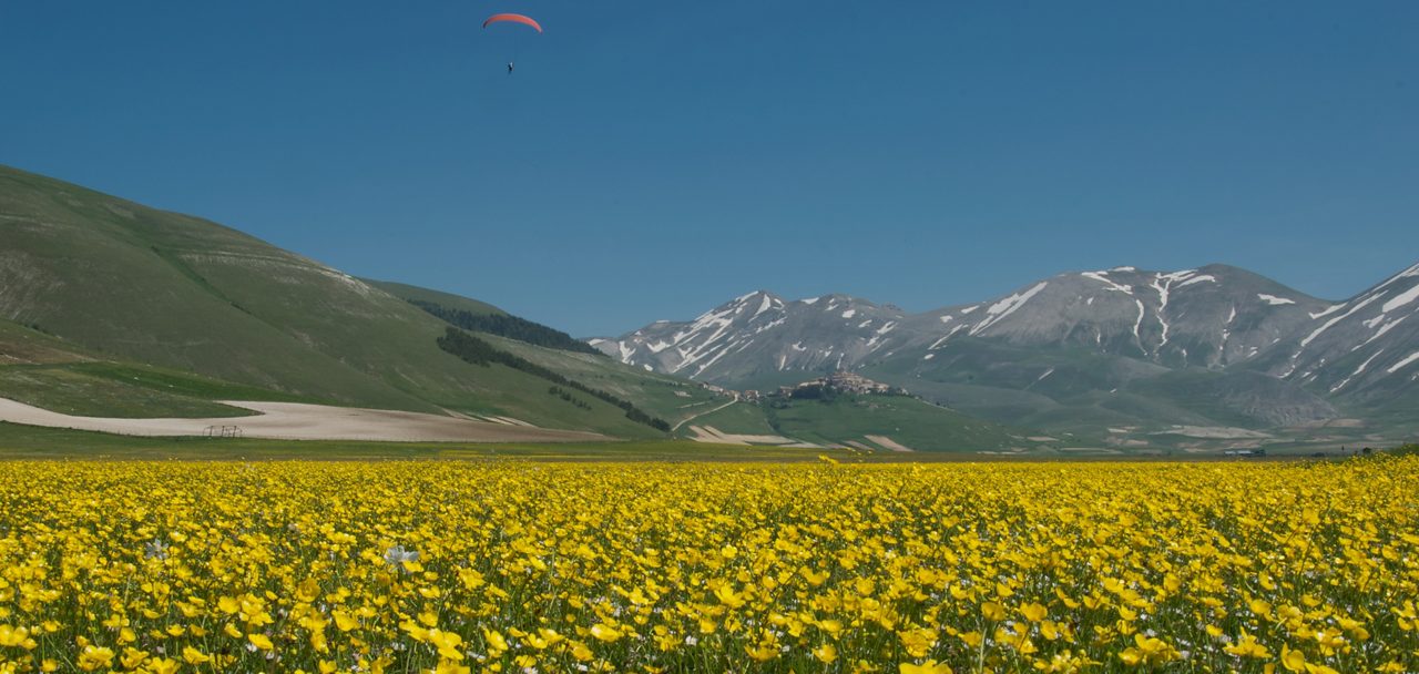 Mountain meadow with paraglider and village