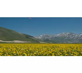 Castelluccio di Norcia.