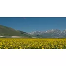 Castelluccio di Norcia