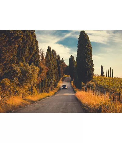 Tuscany by car surrounded by nature, art and unique flavors