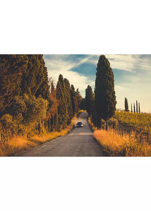 Tuscany by car surrounded by nature, art and unique flavors