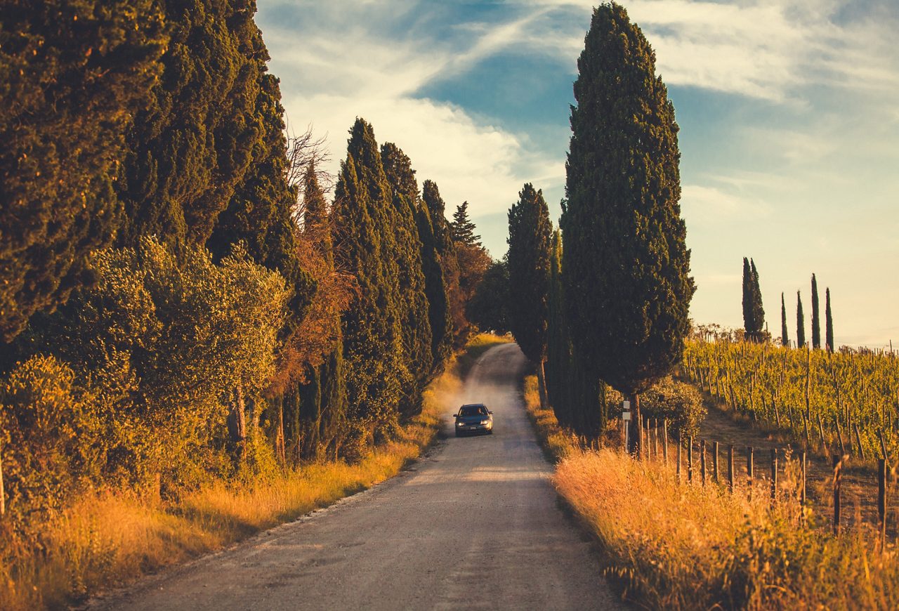 Typical Tuscany road along cypresses and vineyards