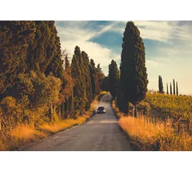 Toscana in auto tra natura, arte e sapori unici