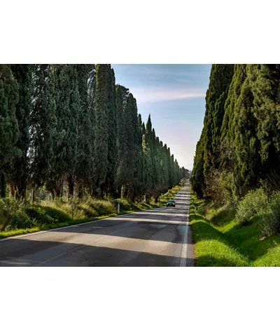 Castagneto Carducci