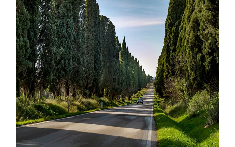 Castagneto Carducci, la poesia è di casa