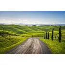 Siena and surroundings: two wheels, endless emotions