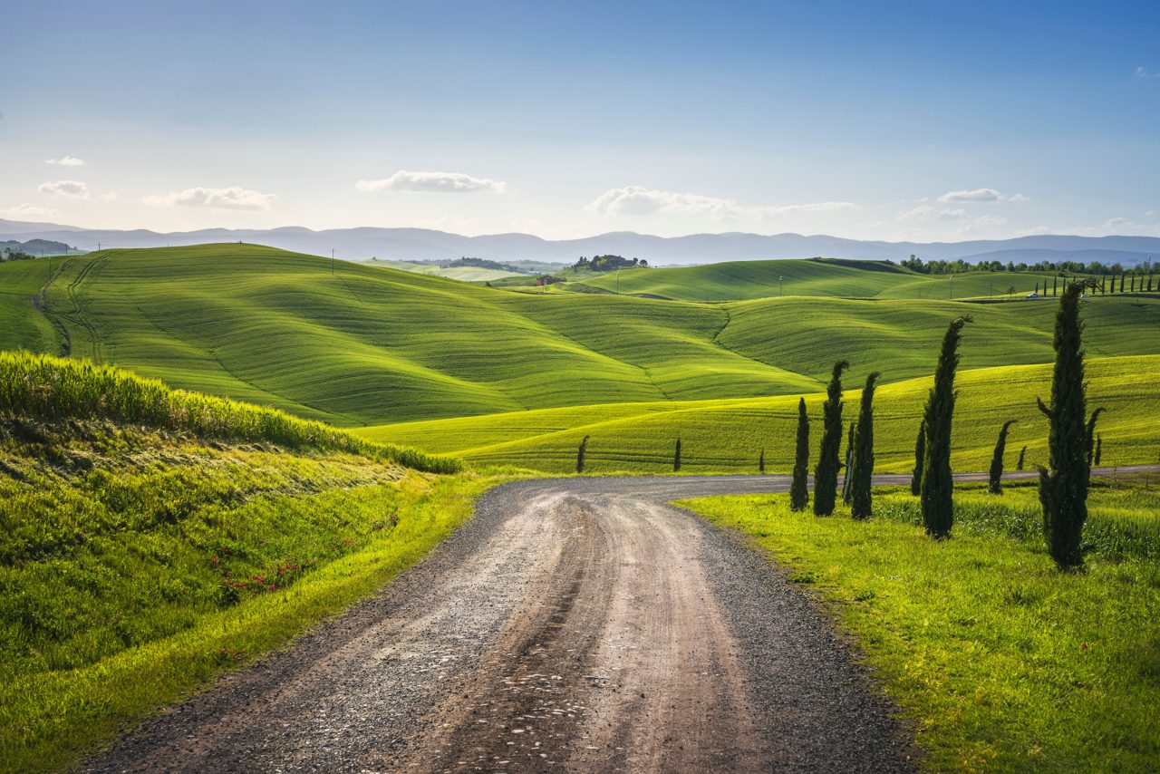 Monteroni d'Arbia, route of the via francigena. Winding road, Fields and trees. Siena province, Tuscany. Italy, Europe.