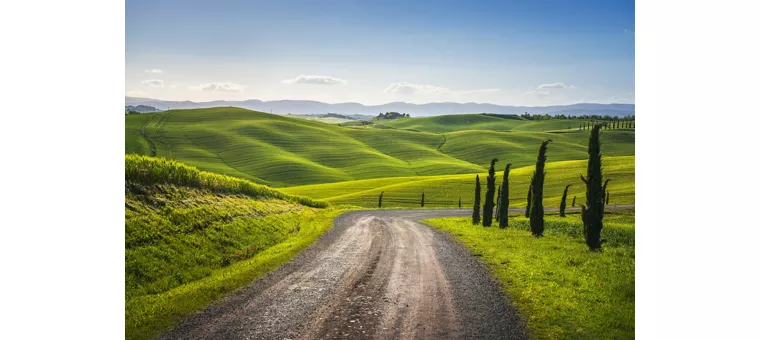 Siena y alrededores: dos ruedas, infinitas emociones