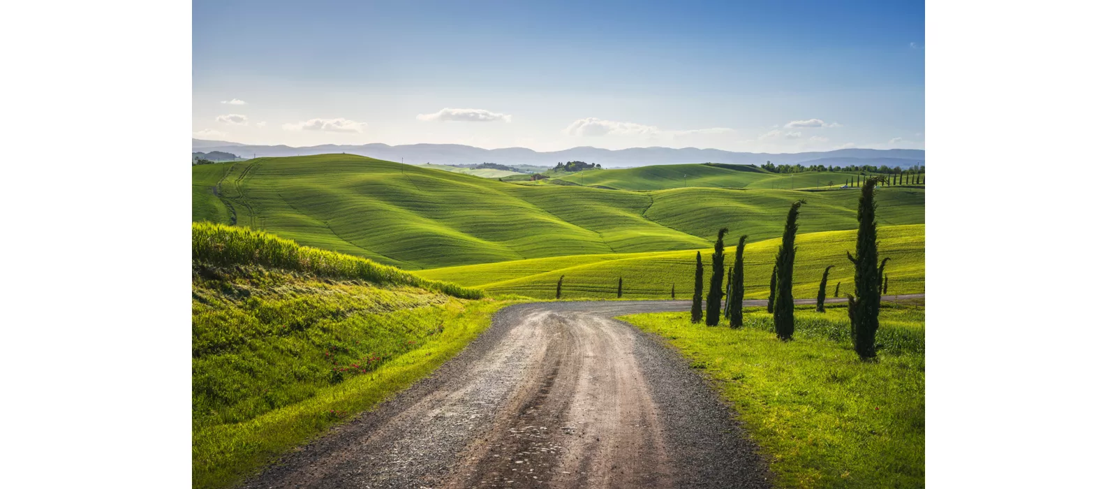 Siena y alrededores: dos ruedas, infinitas emociones