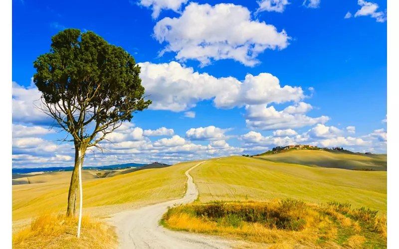 On two wheels between the gates of Siena