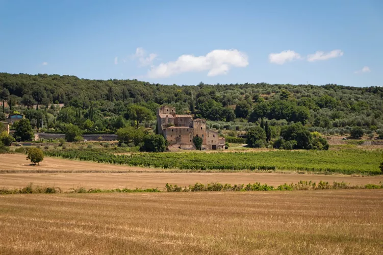 In Sovicille, amidst dry stone walls and sunflowers