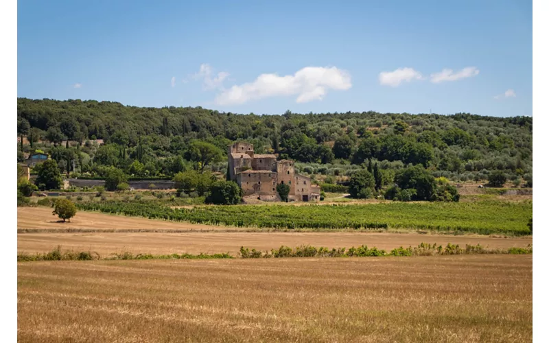 À Sovicille, entre murs en pierres sèches et tournesols