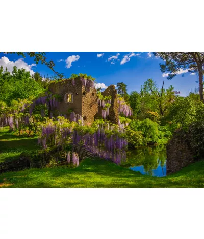 The Garden of Ninfa