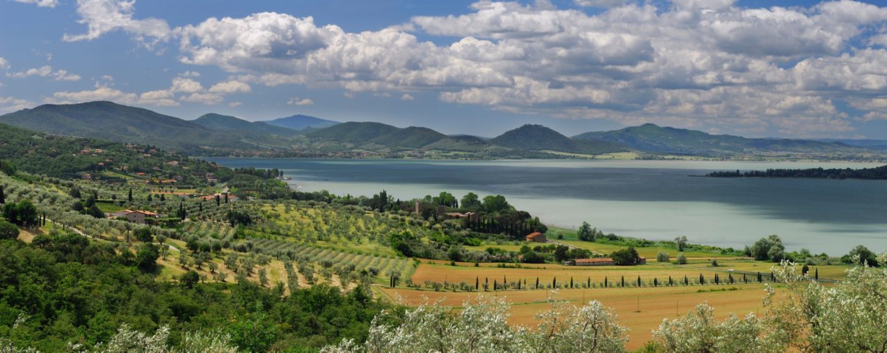 Panorama of olive groves sloping to Lake Trasimeno in Umbria Italy