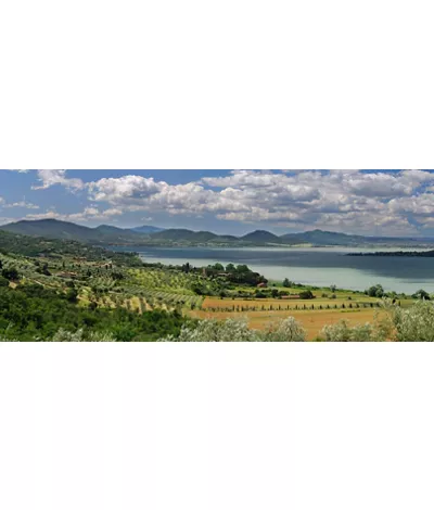 Vista panoramica sul Lago Trasimeno