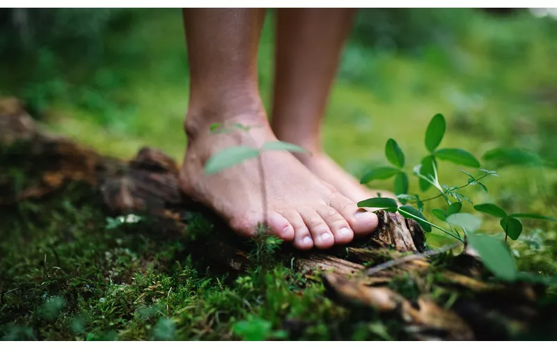 Riequilibrio energetico a piedi nudi nei boschi