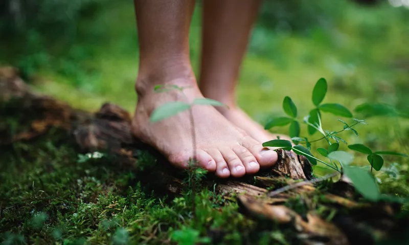 Riequilibrio energetico a piedi nudi nei boschi