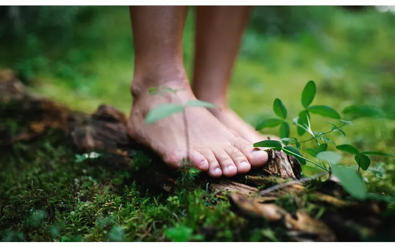 Persona che cammina a piedi scalzi nel bosco per rigenerarsi.