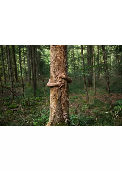 Detox-Erlebnisse im Trentino