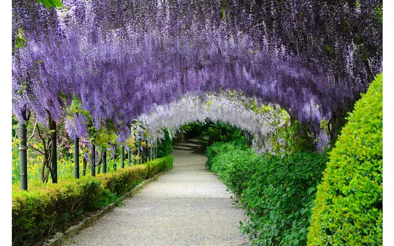 Jardin Bardini
