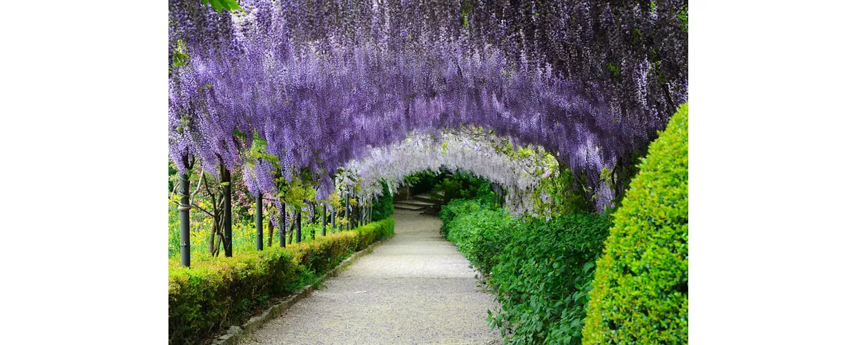 Giardino Bardini