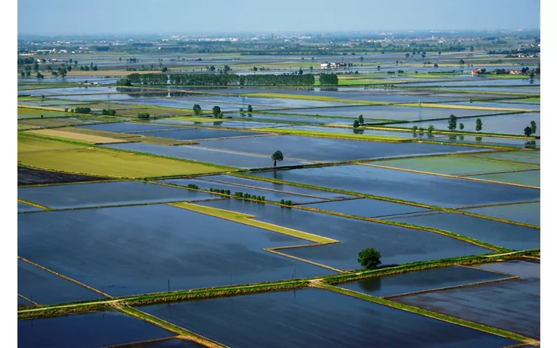 Inmitten von Reisfeldern, in denen sich die Wolken spiegeln