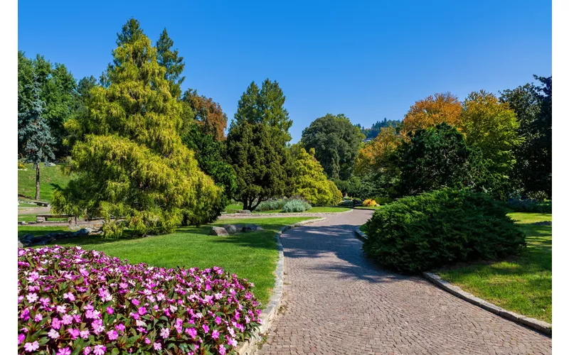 The meeting with nature in the Botanical Gardens