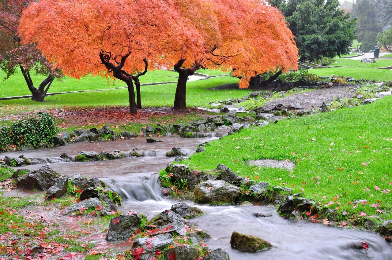 Botanical Gardens in autumn, Turin, Italy.
