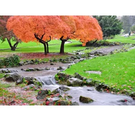 Curiosidades de Turín que no te puedes perder