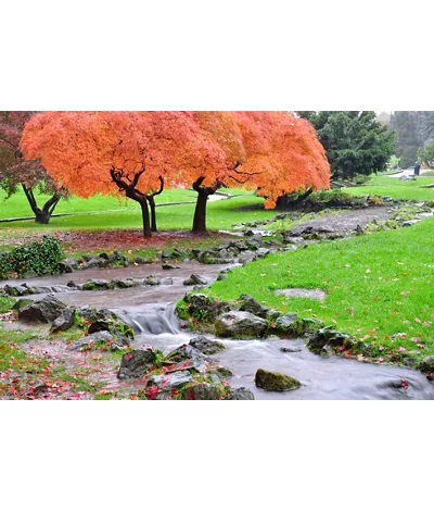 Die wichtigsten Sehenswürdigkeiten von Turin