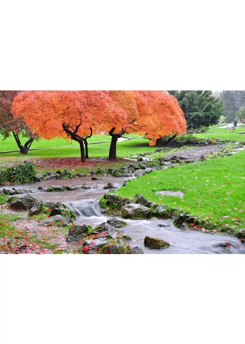 Die wichtigsten Sehenswürdigkeiten von Turin