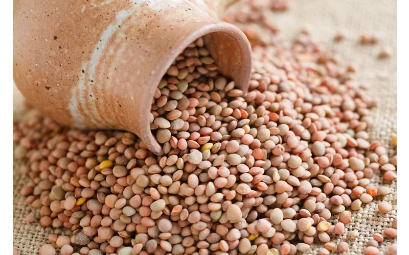 Les produits typiques des Marches : 4 spécialités