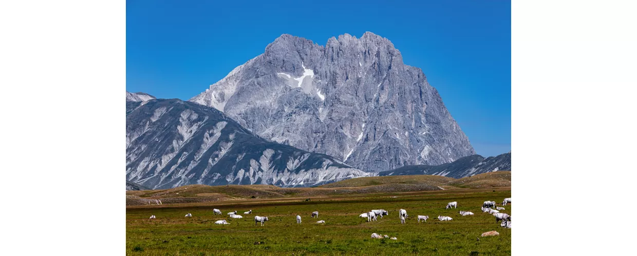 Parc national du Gran Sasso et des monts de la Laga