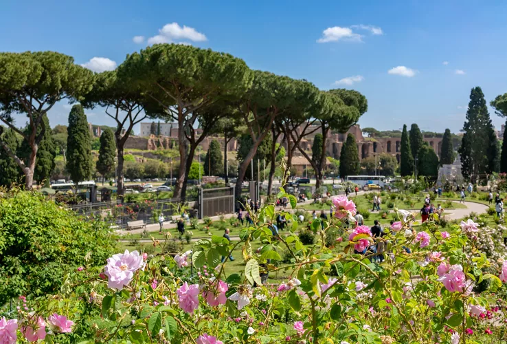 Rome�s Municipal Rose Garden