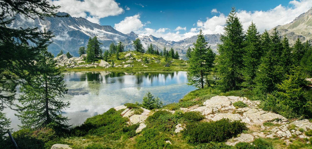 Mountain landscape with a lake and green trees around. Sense of freedom. Gran Paradiso National Park, Bellagarda lake, Ceresole Reale, Piedmont, Italy