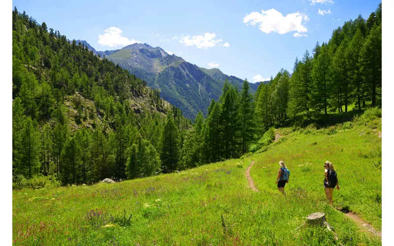 Due persone camminano su un sentiero fra i prati del Parco del Gran Paradiso