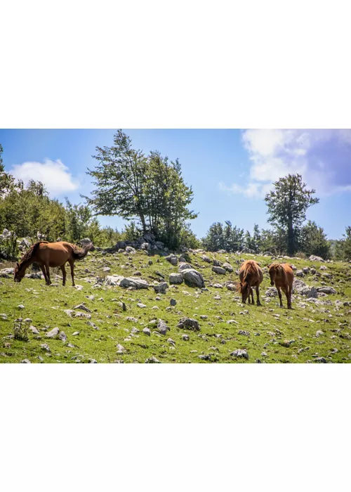 Pollino National Park