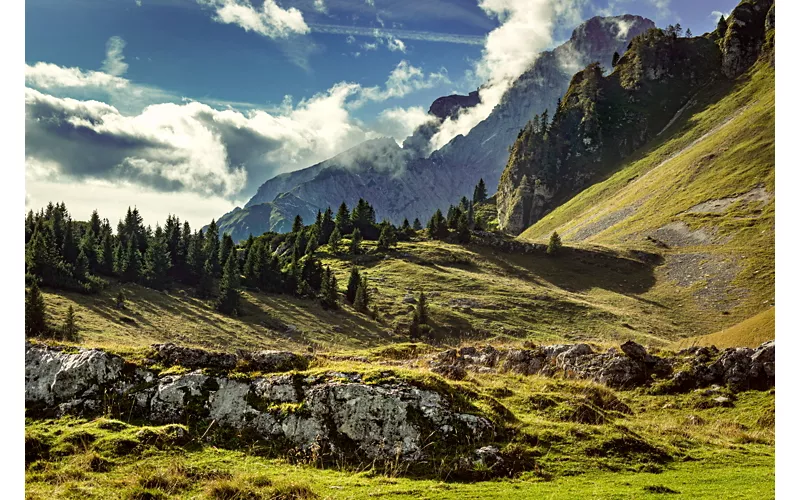 Natural rock steps between meadows and fir trees; in the background, the mountains amidst the clouds