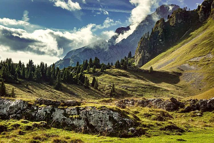 Natural rock steps between meadows and fir trees; in the background, the mountains amidst the clouds