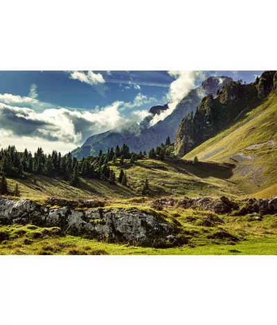 Gradoni naturali di roccia tra prati e abeti; sul fondo, montagne tra le nuvole