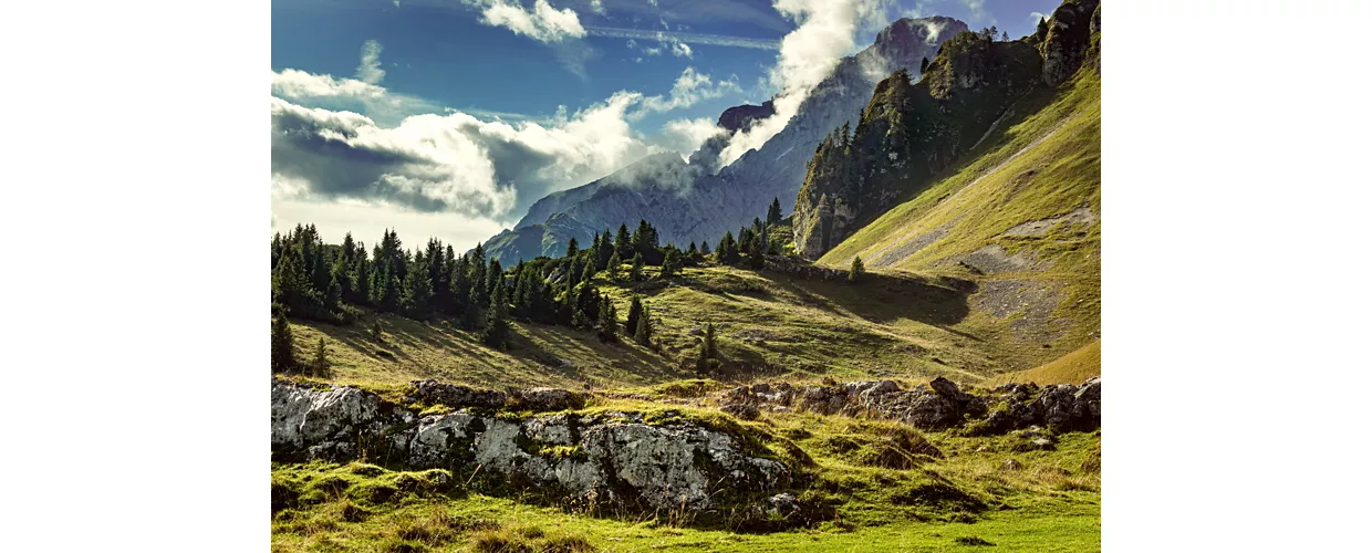 Gradoni naturali di roccia tra prati e abeti; sul fondo, montagne tra le nuvole