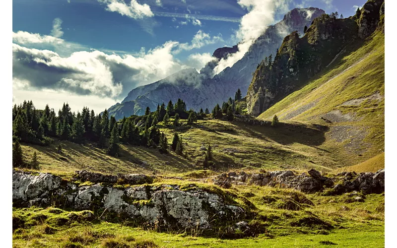 Gradoni naturali di roccia tra prati e abeti; sul fondo, montagne tra le nuvole