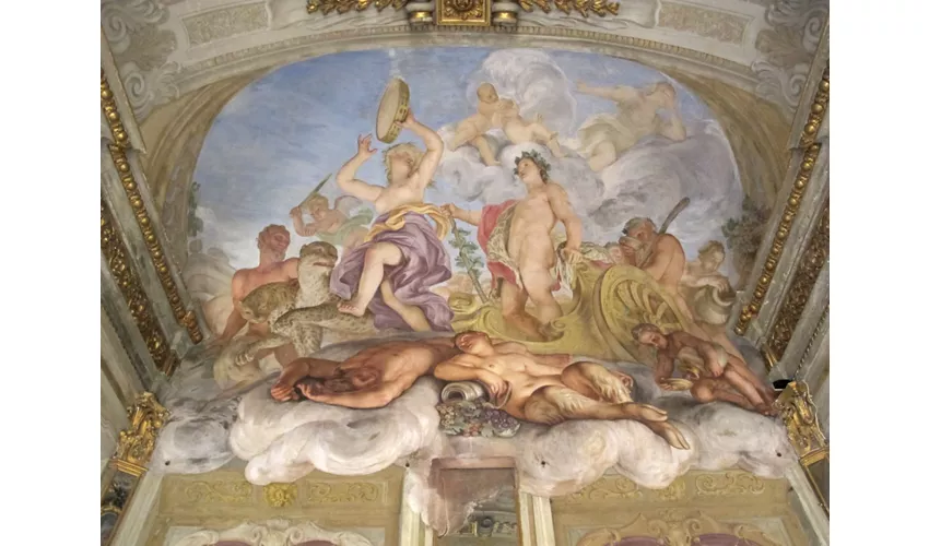 Una paperella a Palazzo Reale di Genova - Liguria 