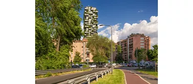 Isola