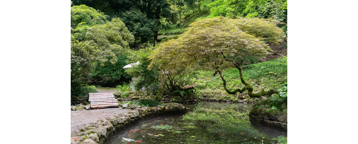 Giardino Giapponese