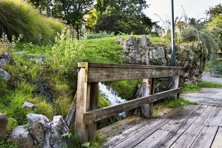 Un Ponte nell'Orto Botanico