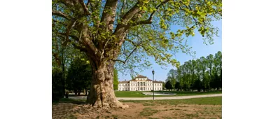 View of Valentino Castle