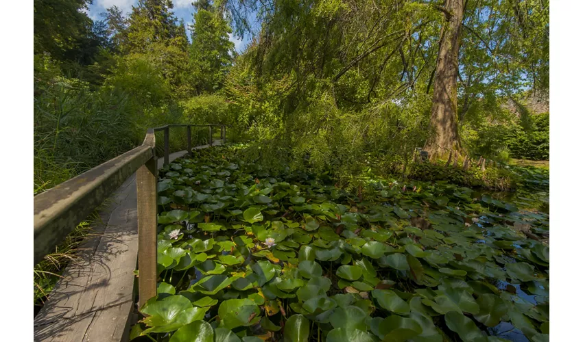 Botanical Garden of Turin