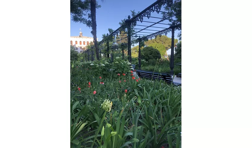 Vista sul pergolato dei Giardini Reali di Venezia